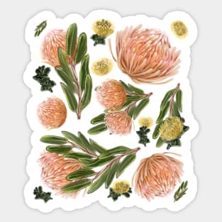 Pincushion Proteas Sticker